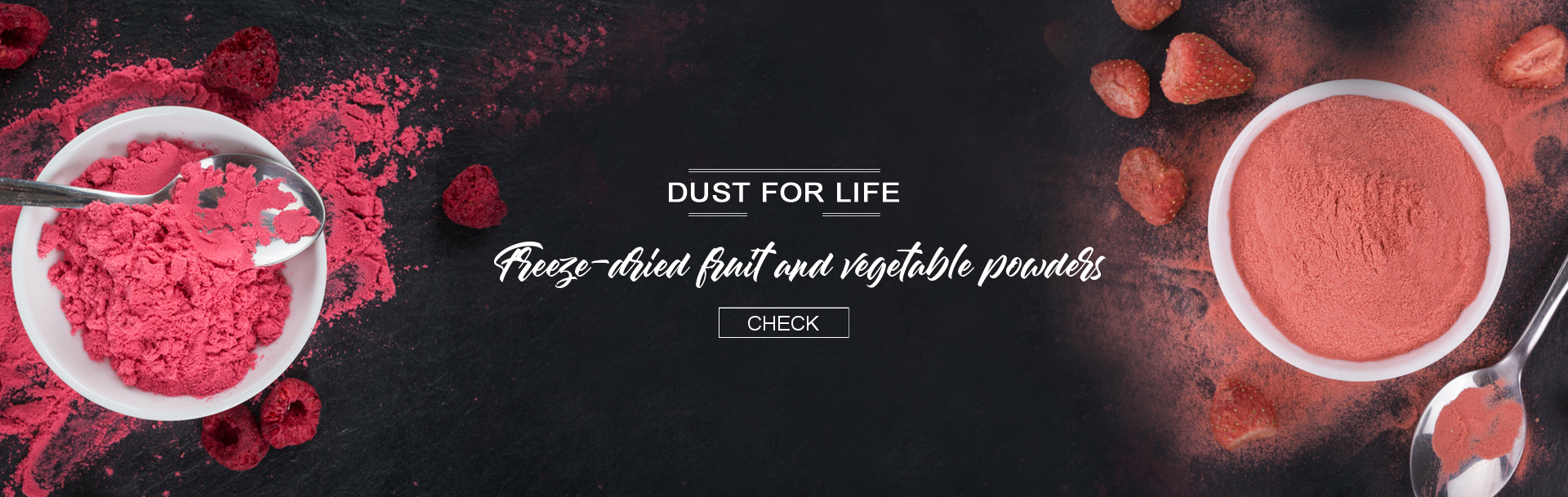 1_dust_for_life
